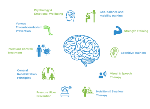 stroke rehabilitation