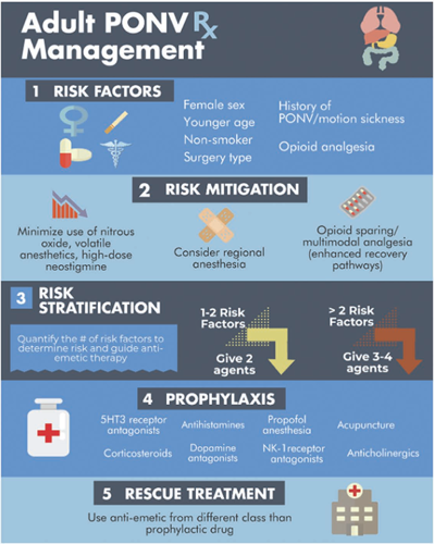 PONV management algorithm for adults