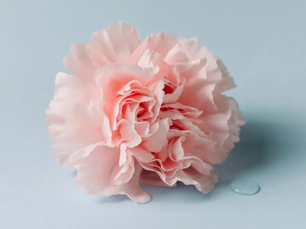 Now Live: Menopause e-learning platform tile image