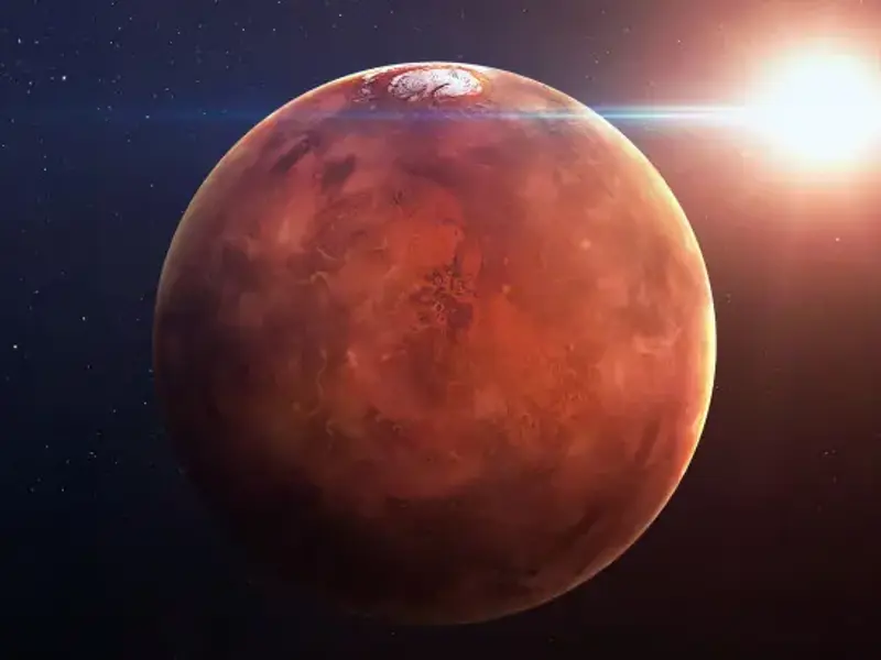 Men are from Mars… or are they?